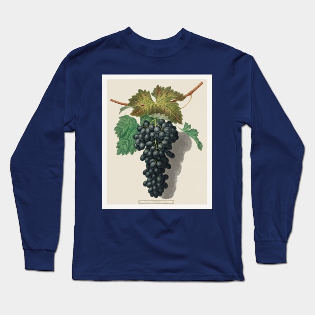 Wine Lover Long Sleeve T-Shirt by zmudart